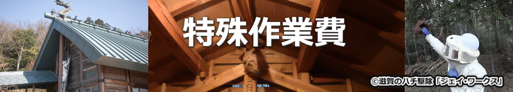 湖南市のハチ駆除特殊作業費